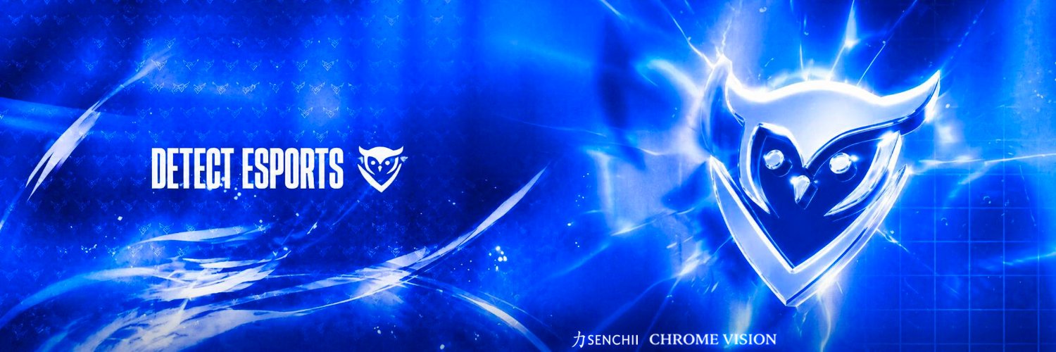 DETECT's banner