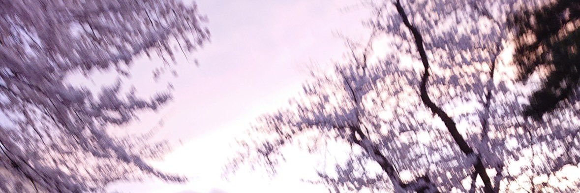 春星銀's banner