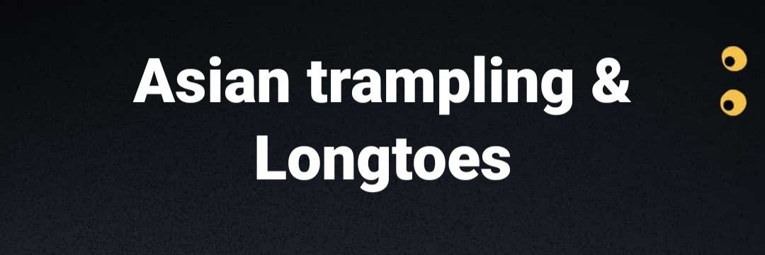 trampling.vs.longtoes's banner