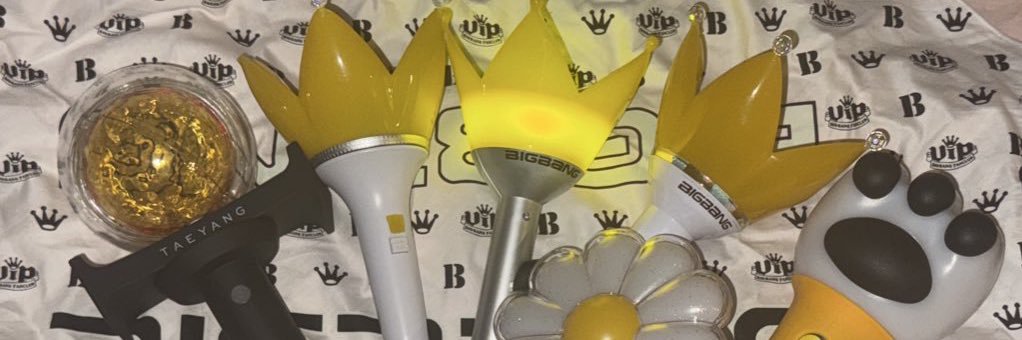빅뱅뿐인바보（びっぽ）'s banner