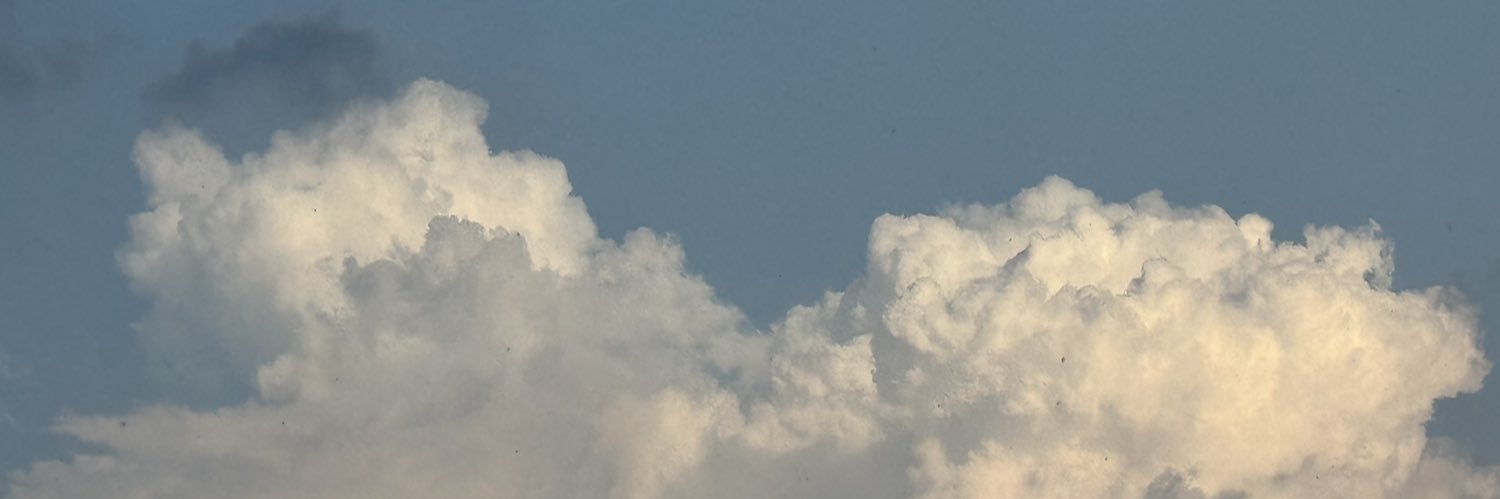 Long.Long's banner