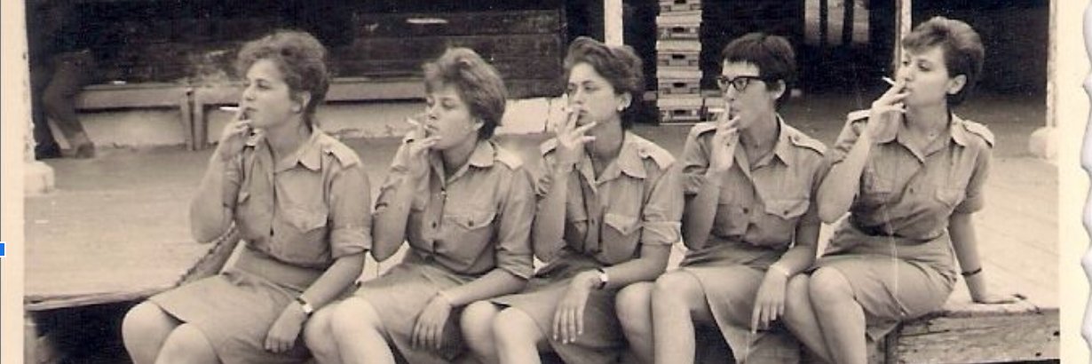 ‏Tal Schneider טל שניידר تال شنايدر's banner