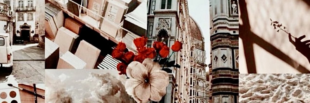 julia 💌🌹's banner