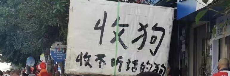 Anzuo's banner