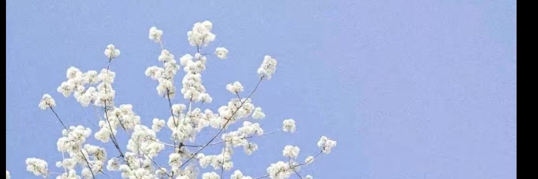 Again～康康's banner