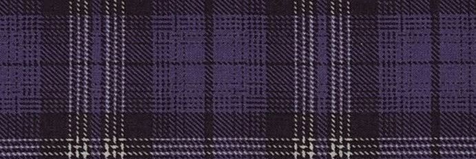 mavi vampiresca🦇's banner