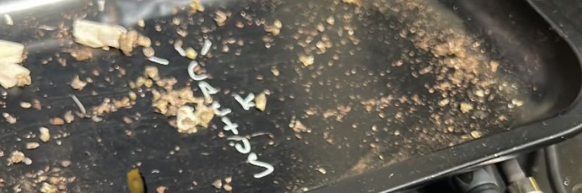 Imran's banner