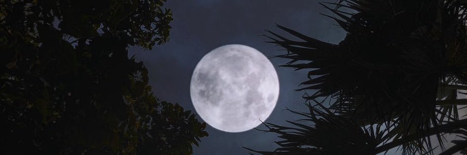راشد ال صبيح's banner