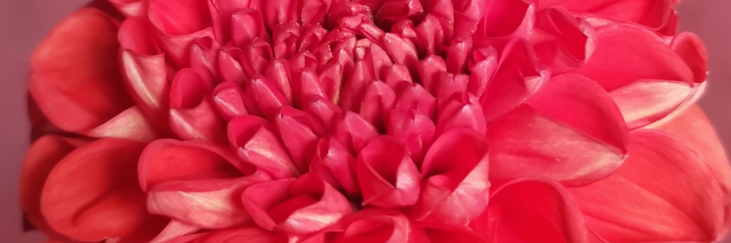 اليمن إب اب's banner