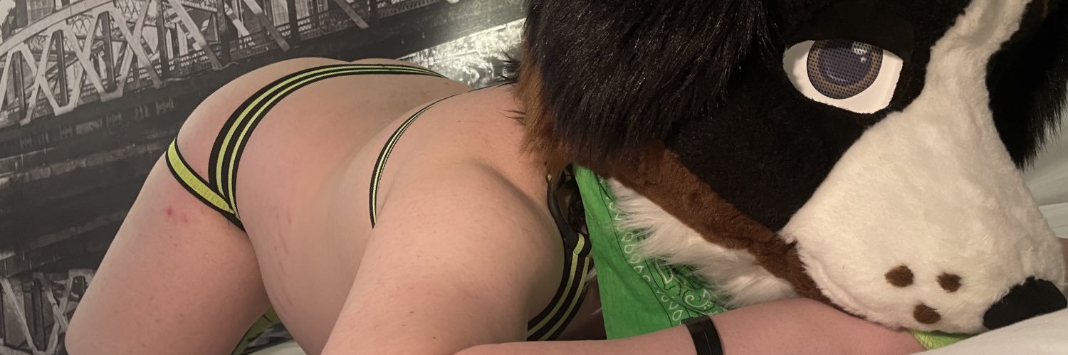 WhiskeyPuppy's banner