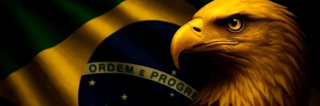 🌻Foco em notícias🌻 🇧🇷's banner