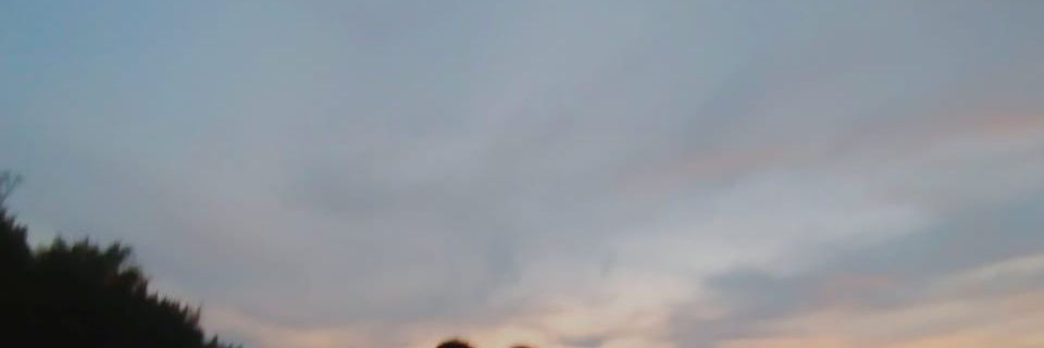 wildpasutri's banner