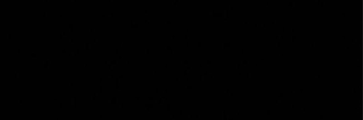 aloe's banner
