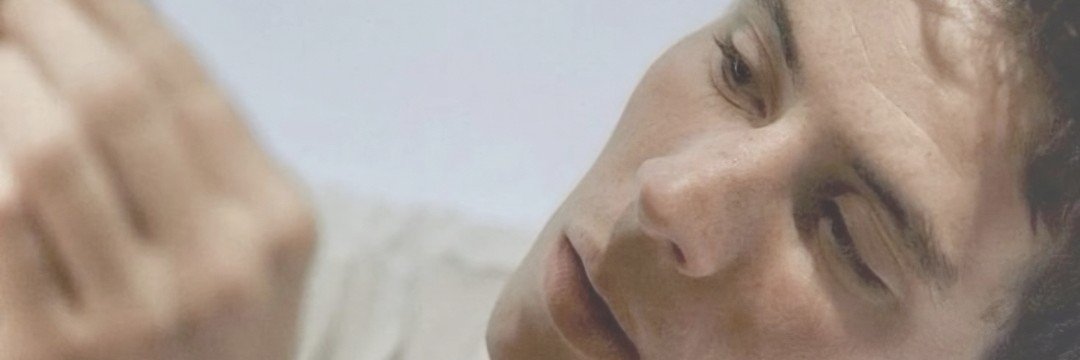 lucia's banner