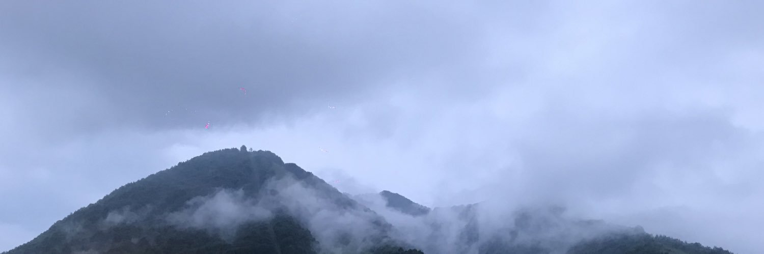 Emi's banner