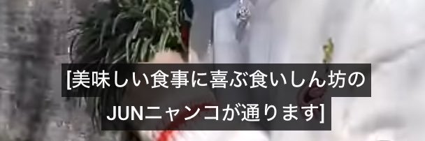ムンヨロ's banner