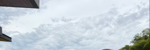 Emma Williams ✨'s banner
