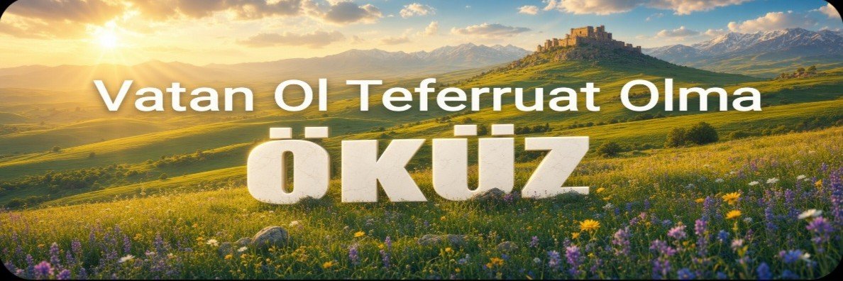 Siyam_Öküzü's banner