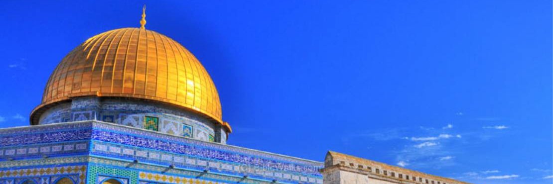 Amr Abdelaziz's banner
