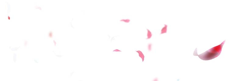 dante's banner
