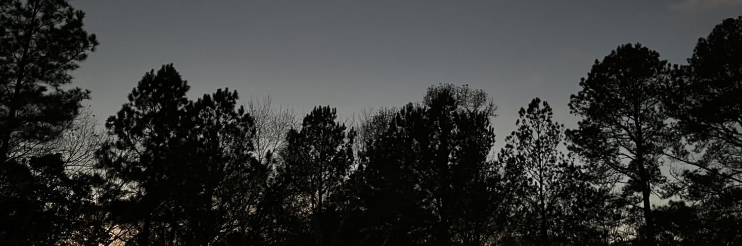 bry's banner
