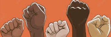 Fights & Freakouts's banner