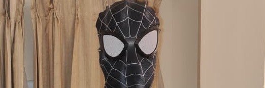 Spider 🕷️ bull's banner