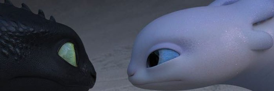 𝕤𝕙𝕒🦈 (slow)'s banner