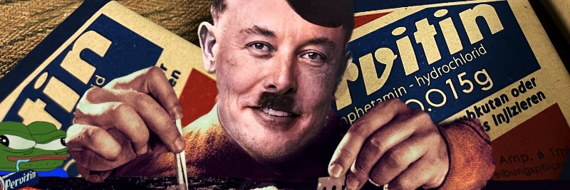Elon H¡tlᵉr's banner