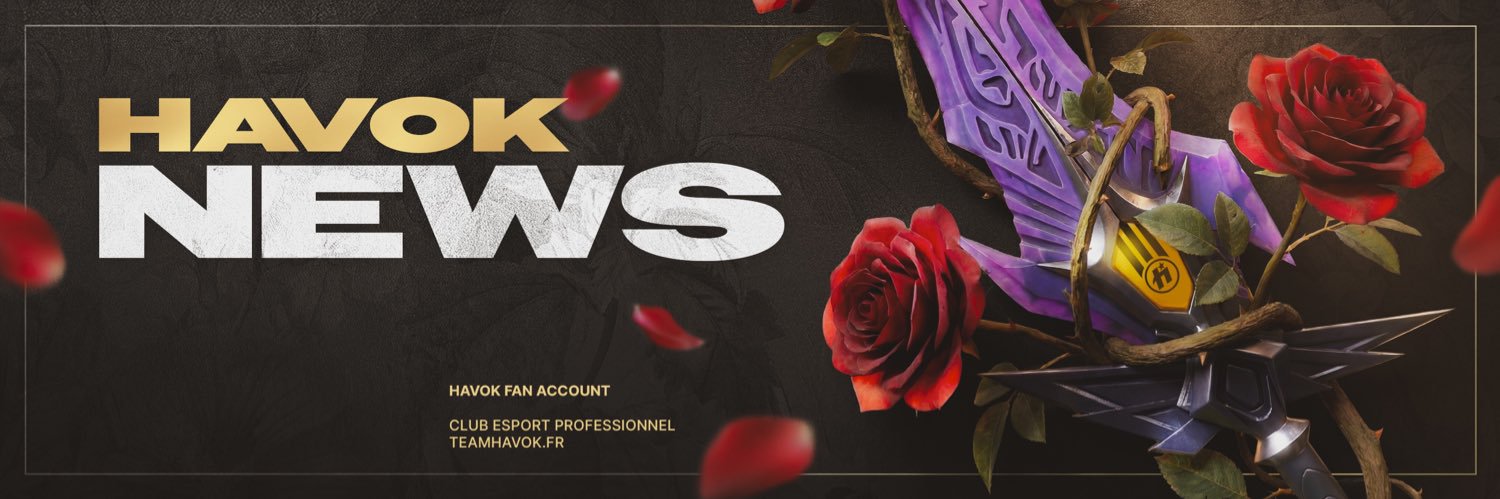 HavoK News 🐝's banner