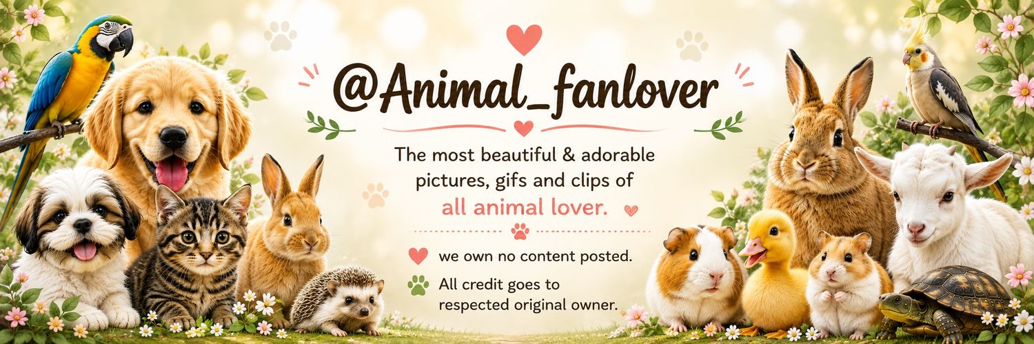 Animal Lover's banner
