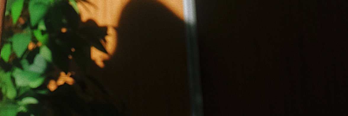 Anna Fruity's banner