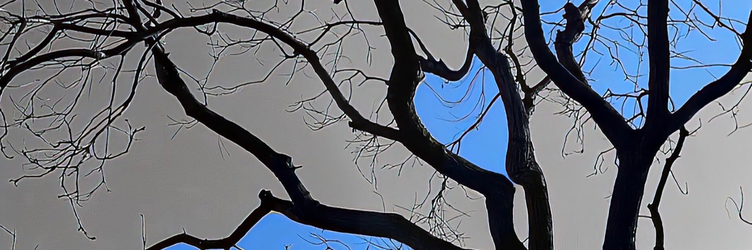 1's banner