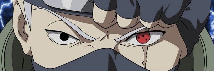 S.tc_a.'s banner