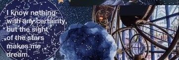 猫は岸辺で夢をみる's banner
