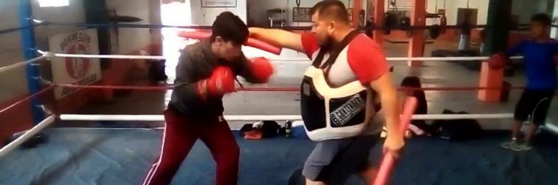 Adictos al boxeo's banner