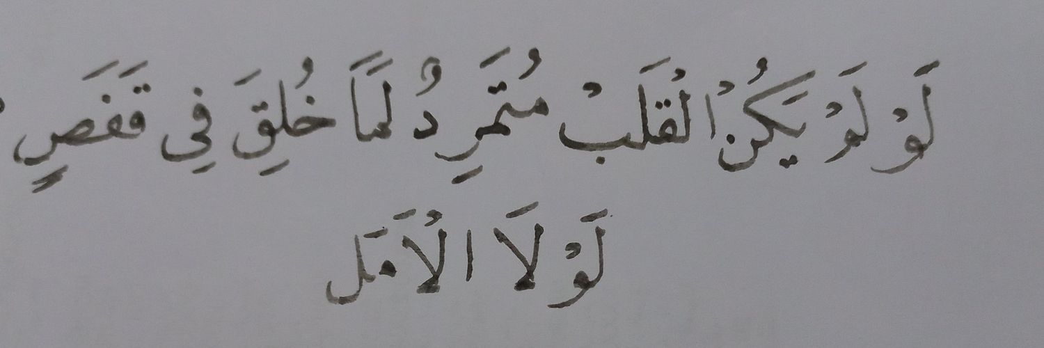لولا الامــ🦋ـل❤️'s banner