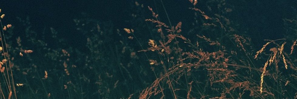 best of SZA's banner
