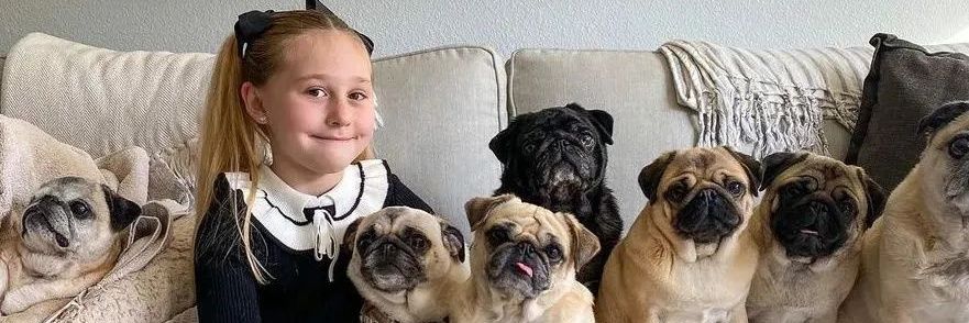 Pug Lover Club's banner