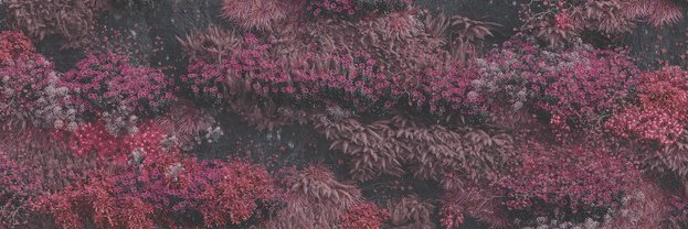 sandi archive's banner