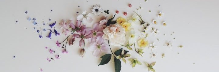 Pansy VA 🌸 Fansly Top 5%'s banner