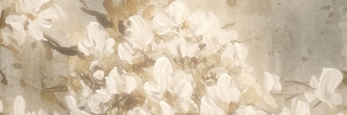 bee ⭑ is mourning's banner