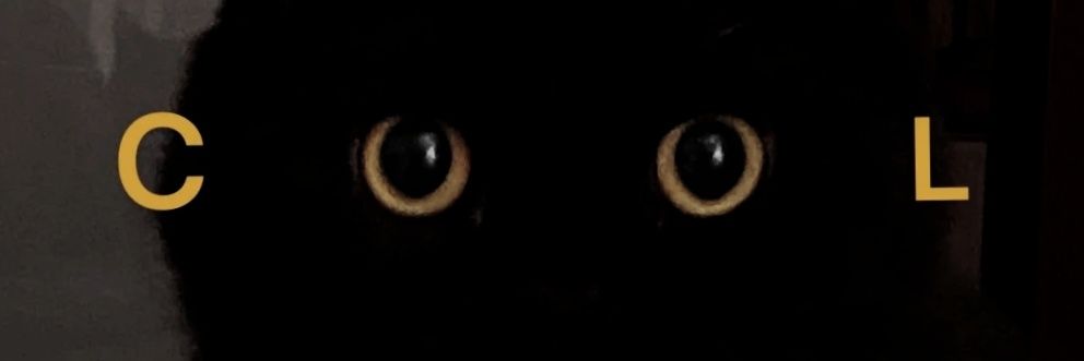 整点大猫饼's banner