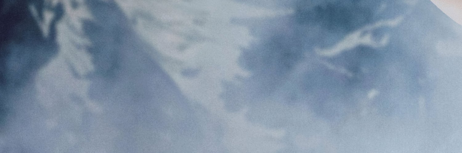 Marilyne Naaman's banner