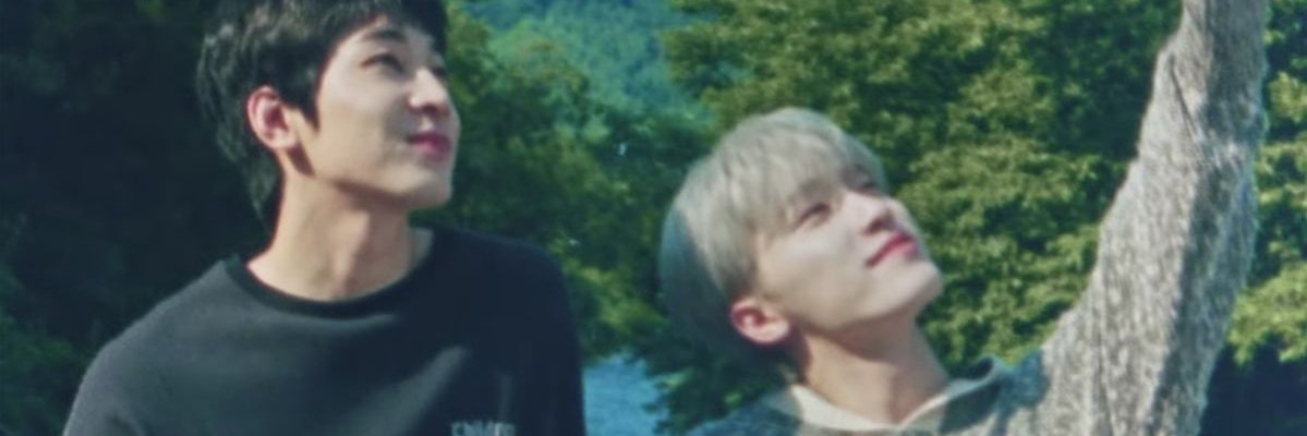 cine 🦦's banner