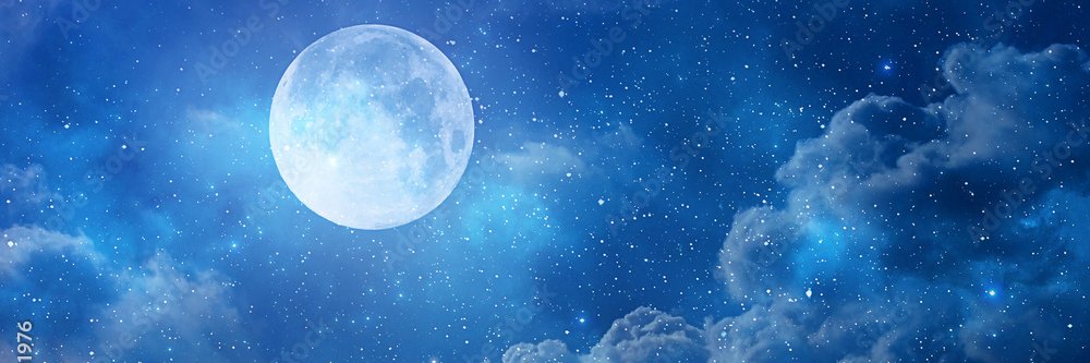 yuki's banner