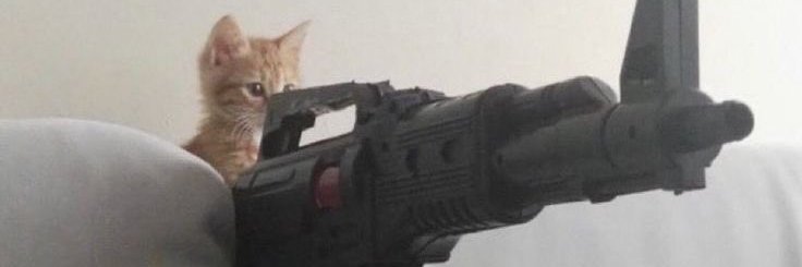 Cozy's banner