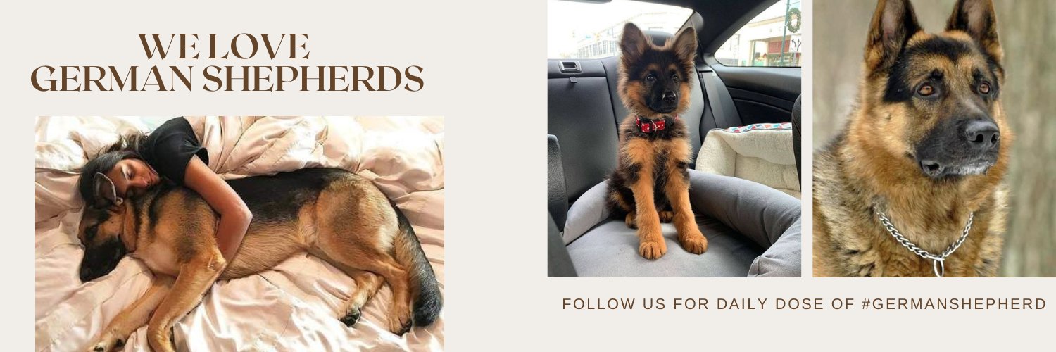 German Shepherd's banner
