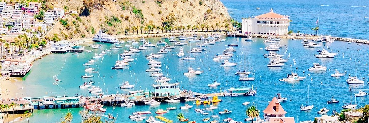 GoingStrategic's banner