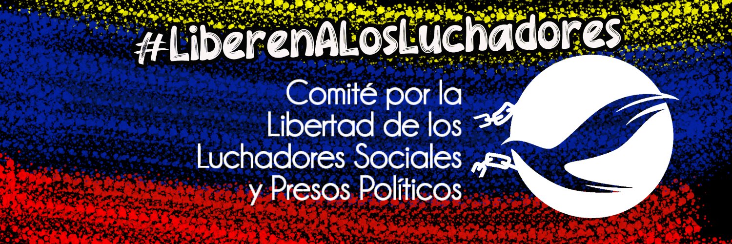 Comité por la Libertad de los Luchadores Sociales's banner